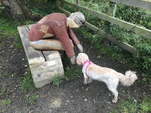 Rosie’s Roamings October 2017